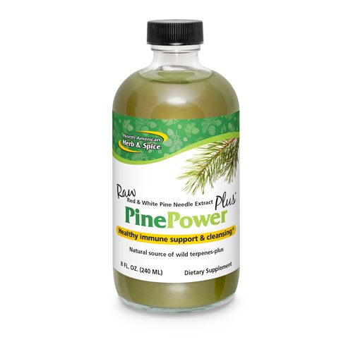 North American Herb & Spice | Koncentrát z jehličí - Pine Power Plus - 240 ml