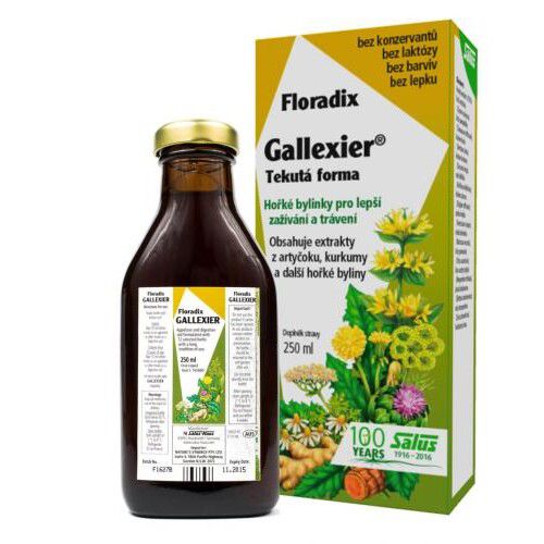 SALUS Floradix Gallexier 250ml