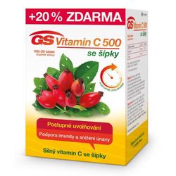 GS Vitamin C500 se šípky tbl.100+20