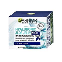 Garnier Skin Naturals Hyaluronic Aloe noční krém 50ml