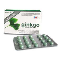 ginkgo COMFORT 60mg SR tbl.60