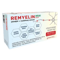 Remyelin NSAI retard tbl.30