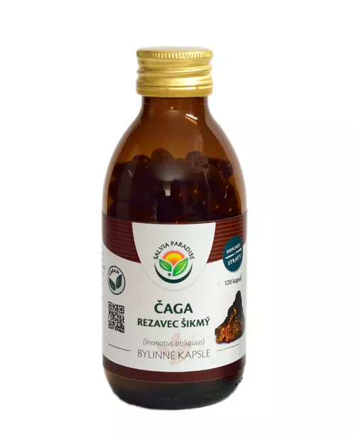 Salvia Paradise Rezavec šikmý - Čaga (120 kapslí)