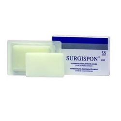 Surgispon Standard 8x5x1cm 2ks