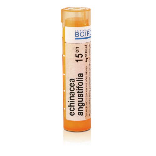 ECHINACEA ANGUSTIFOLIA 15CH granule 1X4G