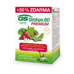 GS Ginkgo 60 Premium tbl.60+30