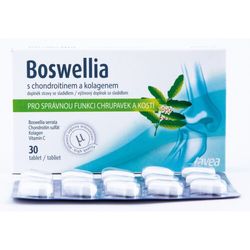 Favea Boswellia s chondroitinem a kolagenem tbl.30