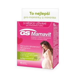 GS Mamavit 90 tablet ČR/SK