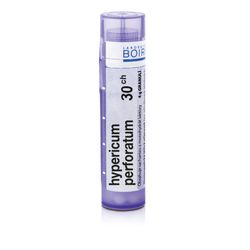 HYPERICUM PERFORATUM 30CH granule 1X4G